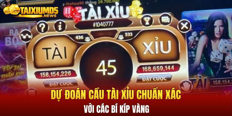 Dự đoán cầu tài xỉu chuẩn xác với các bí kíp vàng