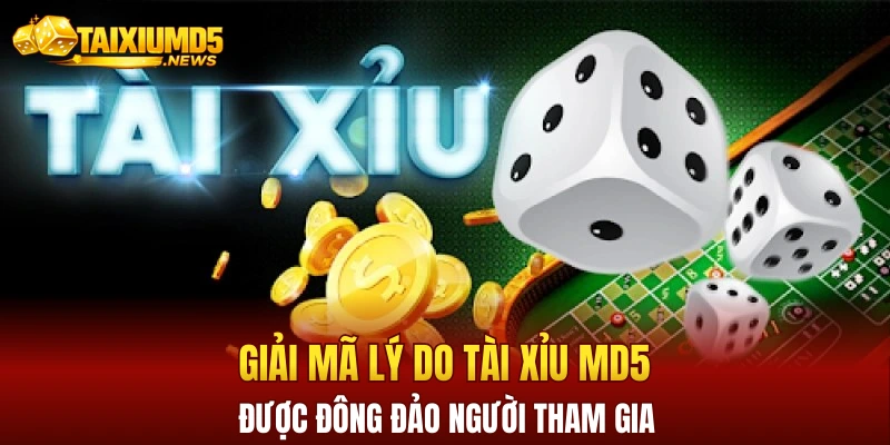 Giải mã lý do tài xỉu MD5 được đông đảo người tham gia