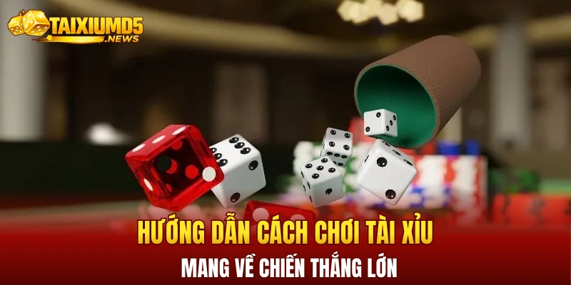 Hướng dẫn cách chơi tài xỉu mang về chiến thắng lớn