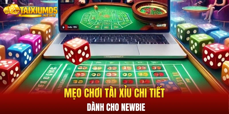 Mẹo chơi tài xỉu chi tiết dành cho newbie