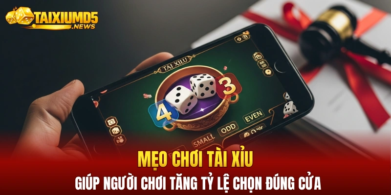 Mẹo chơi tài xỉu giúp người chơi tăng tỷ lệ chọn đúng cửa