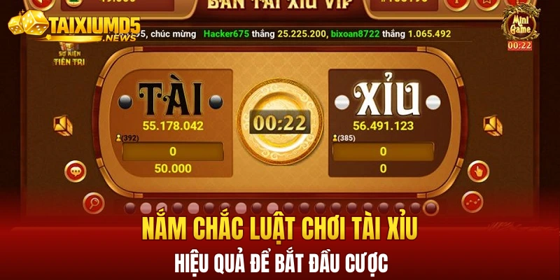 Nắm chắc luật chơi tài xỉu hiệu quả để bắt đầu cược